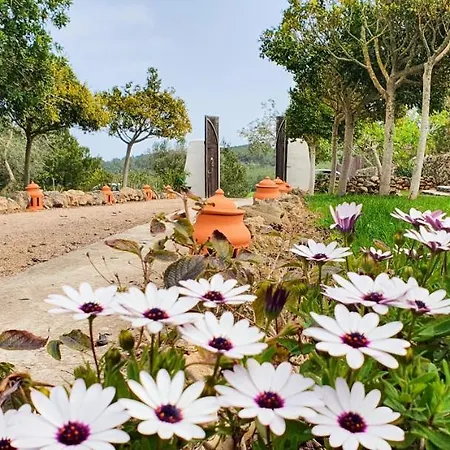 Marquet - Adults Only 3* Santa Gertrudis (Ibiza)
